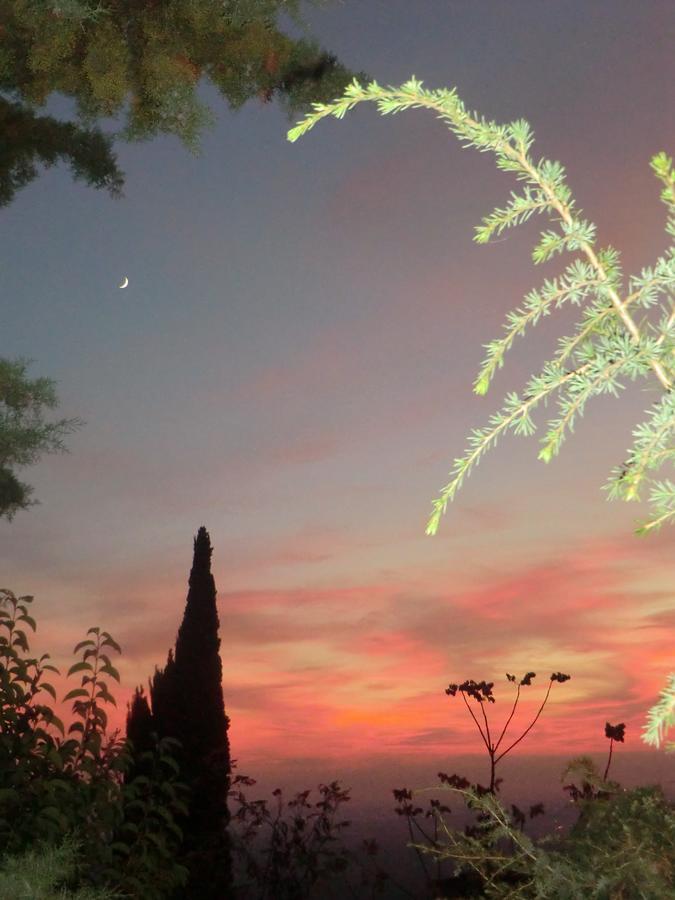 Il Giardino Di Alisa Bed & Breakfast Tivoli Dış mekan fotoğraf